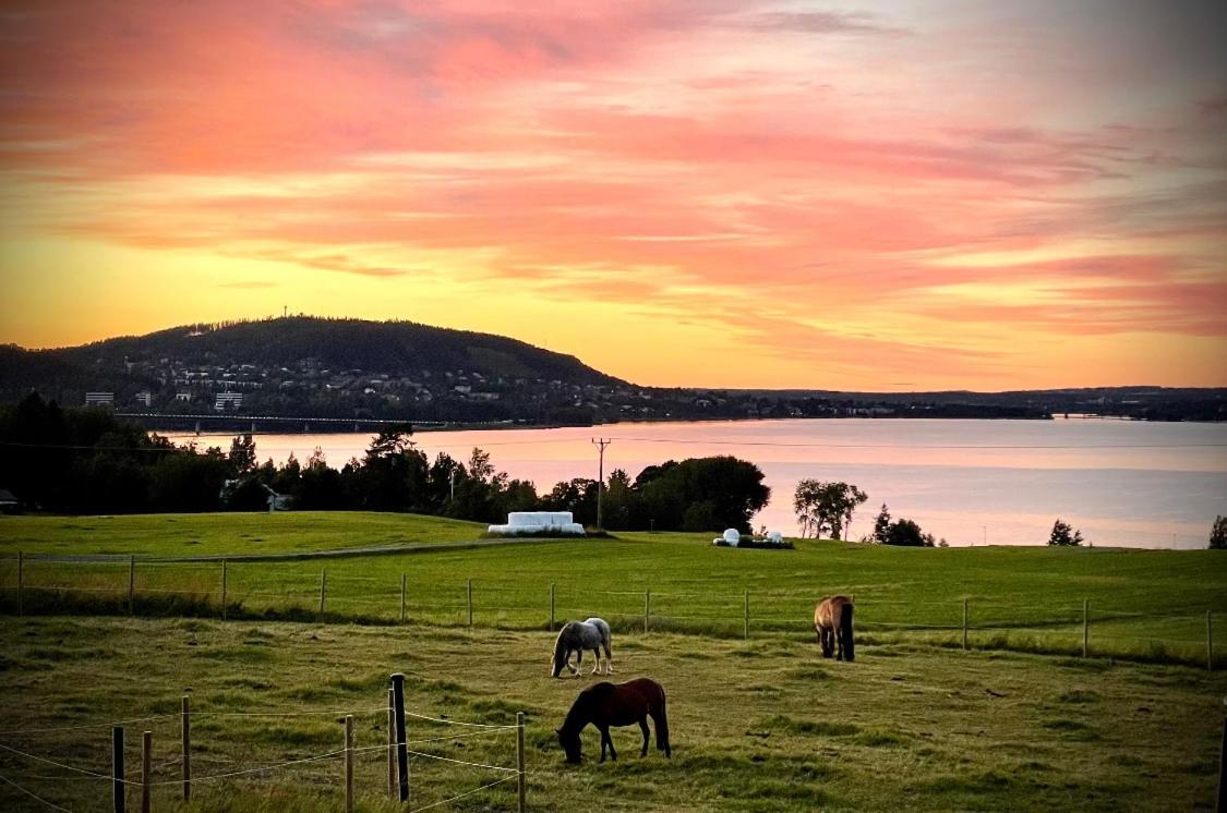Scenic Small Guesthouse On Horse Farm By The Lake Froso Bagian luar foto