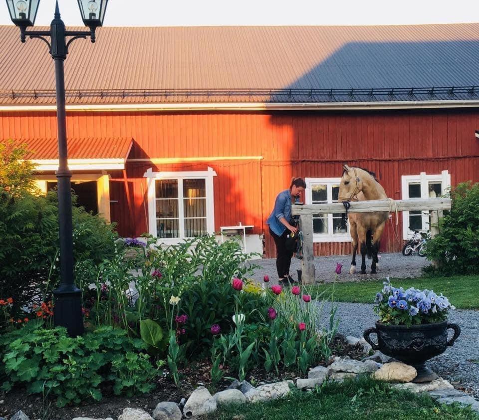 Scenic Small Guesthouse On Horse Farm By The Lake Froso Bagian luar foto